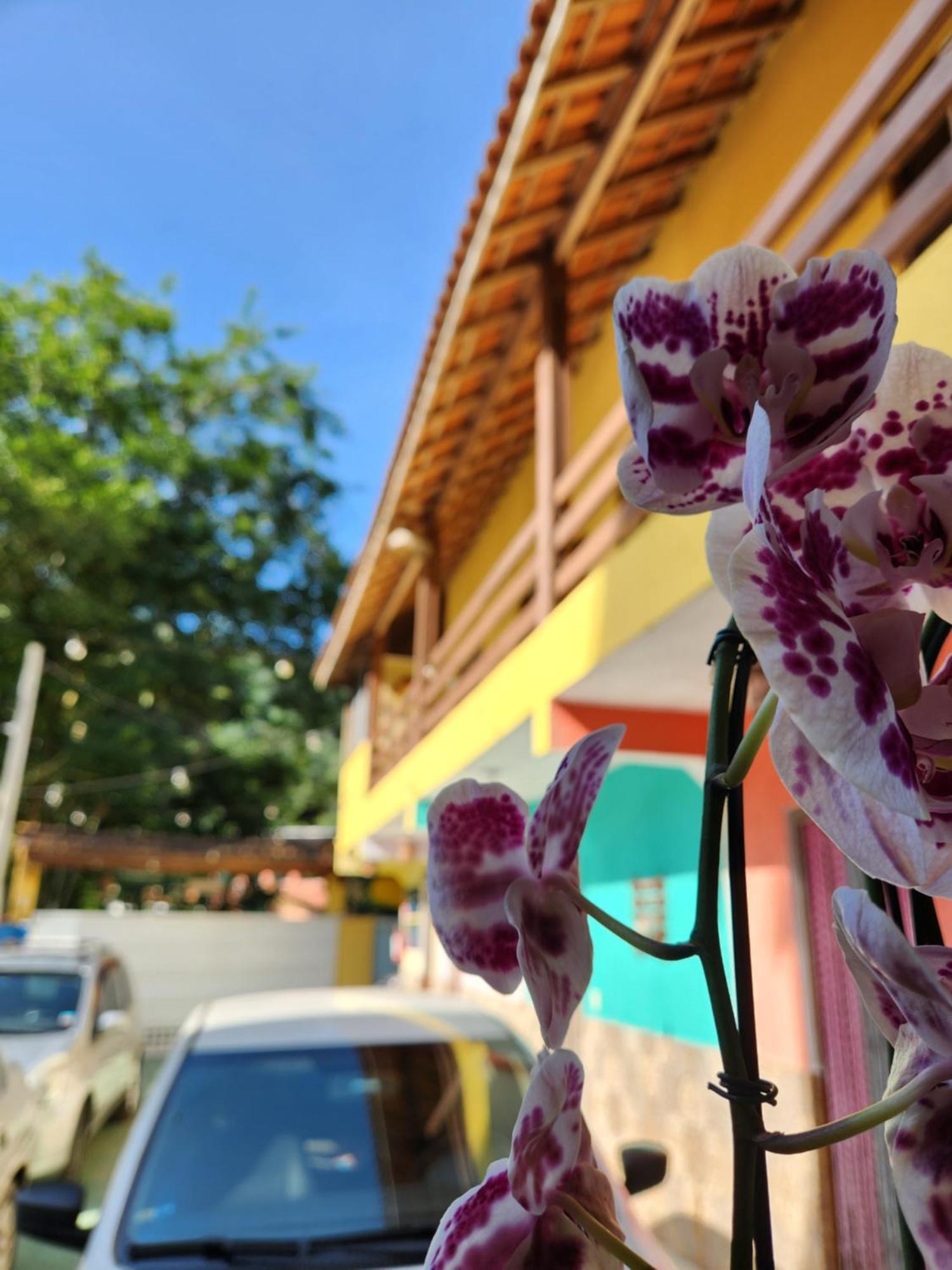 Pousada Morena Raiz Ubatuba Buitenkant foto